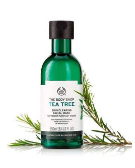 The Body Shop Tea Tree Skin Clearing Facial Wash-250ml